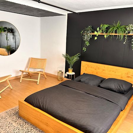 Guibert Home - Studio 2 Personnes فيلنوف لو روا المظهر الخارجي الصورة