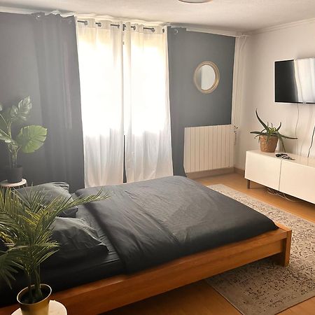 Guibert Home - Studio 2 Personnes فيلنوف لو روا المظهر الخارجي الصورة